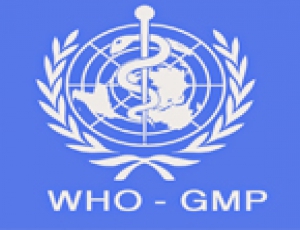 WHO - GMP